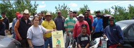 HealthSafety-275-100