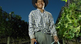 farm-blog