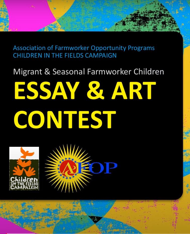 art essay contest