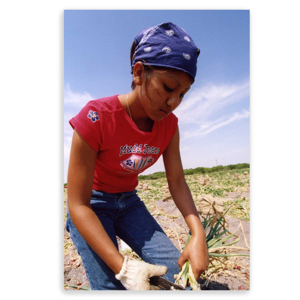 learn-the-facts-association-of-farmworker-opportunity-programs