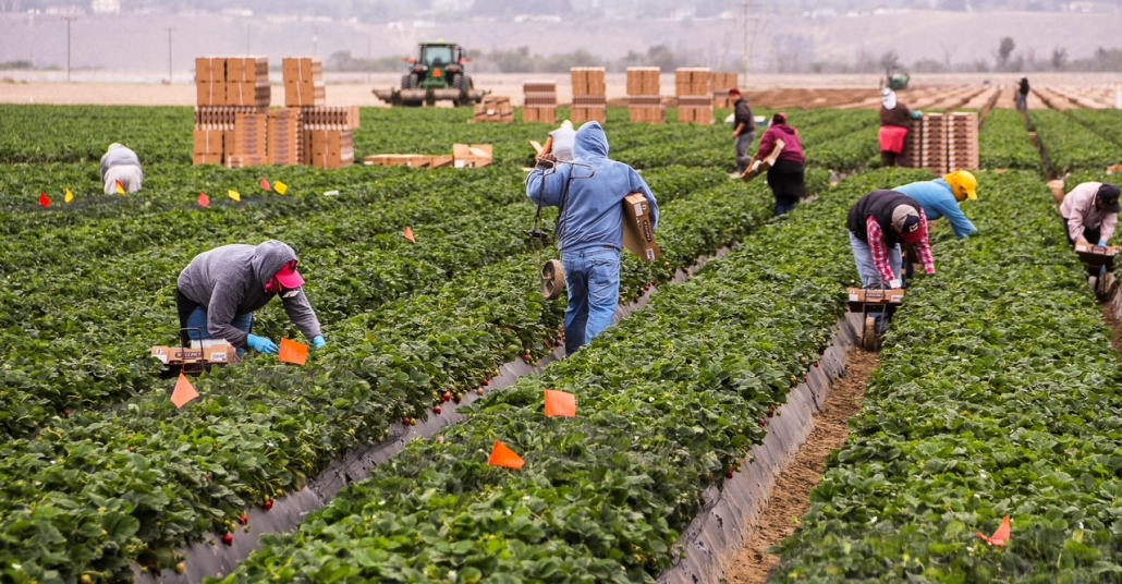 The photo credit: Todd Fitchette